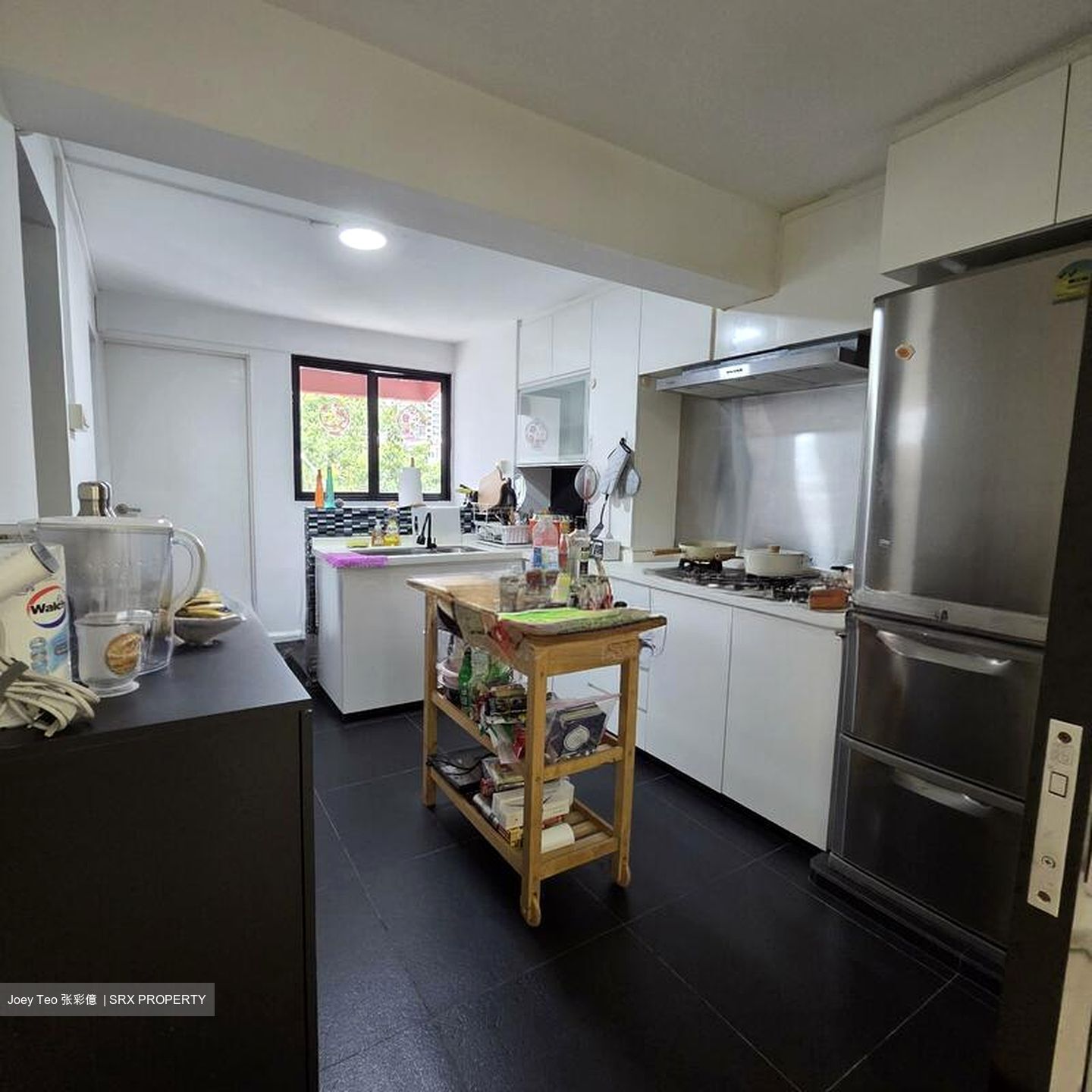 Blk 13 Holland Vista (Queenstown), HDB 3 Rooms #522707241